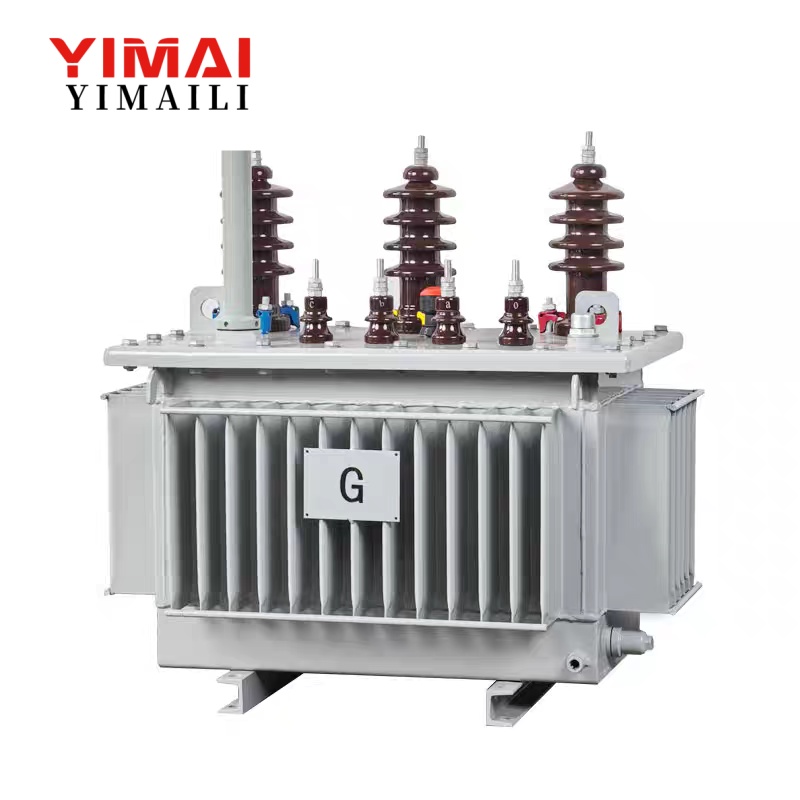 Oil-immersed transformers